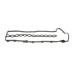 Прокладка кришки клапанів BMW 3 (E46-E92) M57 D25/M57 D30 03-/Opel Omega B 2.5DTI 01-03 (к-кт)