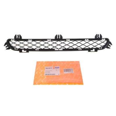 Решітка бампера BMW X3 (F25) 09-17 (посередині)