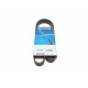Ремінь генератора VW Caddy 1.4-1.6 95-10 (6PK1069) Ремінь генератора VW Caddy 1.4-1.6 95-10 (6PK1069)