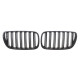Решітка радіатора BMW X3 (E83) 07-10 (к-кт)