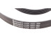 Ремінь генератора Ford Focus 1.4/1.6 98-05/Toyota Rav4 1.8 00-05/Daewoo Nubira 1.8/2.0 99-