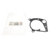 Прокладка помпи води BMW 3 (E90/92/93)/5 (E39/70) 2.0/2.5/3.0D 98-14