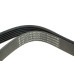Ремінь генератора Fiat Scudo/Citroen Berlingo/VW Golf IV 1.8/1.9TDI 97- (6PK1658)