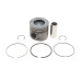 Поршень BMW 5 (E60) 05-10/X5 (E70) 3.0d (M57) 06-10 (84.00mm/STD)