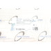 Захист диска гальмівного (переднього) (L) BMW X5 (E70/F15)/X6 (F16) 2.0-4.8 06-18