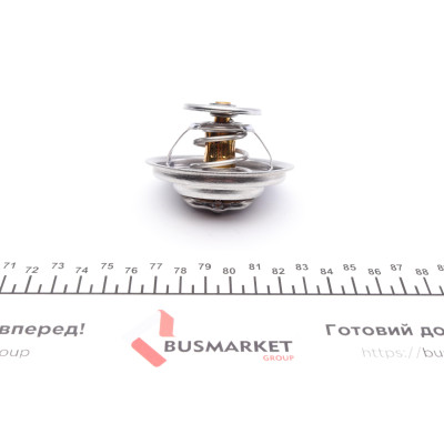 Термостат BMW 3 (E30/E36)/5 (E34) 1.6-2.8 88-99 (88°C)