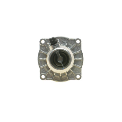 Термостат BMW 5 (E39)/7 (E38) 3.5/4.4i 96-04 (105°C) (M62)