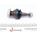 Опора кульова (передня/знизу) BMW 5 (F10/F11)/6 (F12/F13) 7 (F01/F02/F03/F04) 2.0-4.4H 09-18