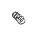 Пружина (задня) BMW X6 (E71/E72) 30d/35d/i/40d/50i xDrive 07-14 (SUV) (з пост.d)(без AdaptiveDrive)