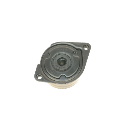 Ролик генератора BMW 3 (E46)/5 (E39)/7 (E38)/X5 (E53) 98-07 (натяжний) (66х28)