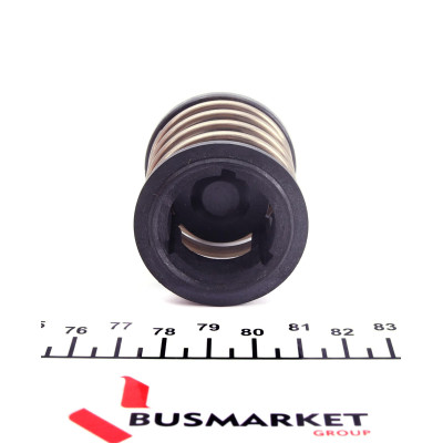 Термостат BMW 1 (F20)/X5 (E70)/5 (F10) 1.6-3.0D 04-