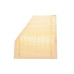 Фільтр повітряний BMW 1 (F20/F21)/2 (F22/F23)/3 (F30/F31/F34)/4 (F32/F33/F36) 2.0/3.0 B48/B58 16-