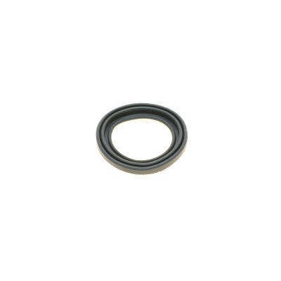 Ремкомплект супорта (переднього) BMW 2 (F45) 13- (d=54mm)(TRW)(+1 поршень/направляюча) SuperKit