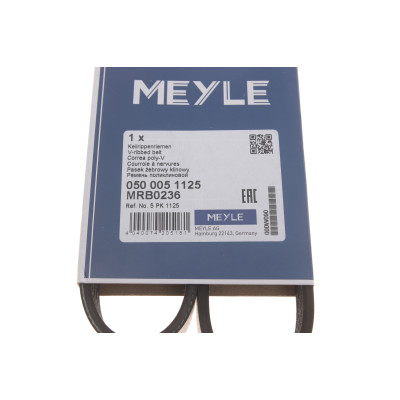 Ремінь генератора Renault Trafic II 1.9dCi 01- (5PK1125)