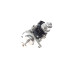 Клапан EGR BMW 3 (F30/G20)/5 (F10/G30) 09- (B47/B57)