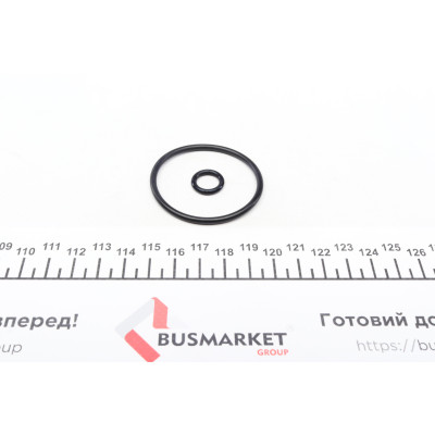 Ремкомплект супорта (заднього) BMW 2 (F45/F23)/X1 (F48)/Mini Mini 13- (d=34mm) (Ate) (+поршень)