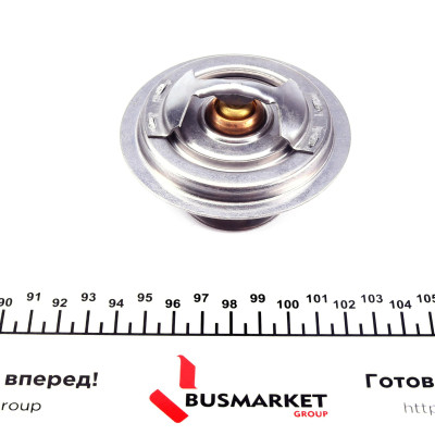 Термостат BMW 5 (E34)/7 (E32/E38) 3.0i-5.0i 87-01