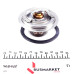 Термостат BMW 5 (E34)/7 (E32/E38) 3.0i-5.0i 87-01