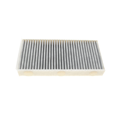 Фільтр салону BMW 2 (F44/F45/F46) 14-16/X1 (F48) 15-16/i3 (I01)/Mini Mini 13-16 (к-кт 2шт) (вугільний)