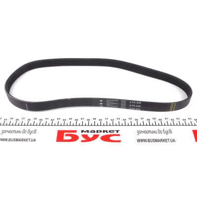 Ремінь генератора BMW 3 (E46)/5 (E39) 1.8D/2.0D 98-03 (5PK836)