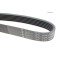 Ремінь генератора Renault Megane I/Ford Transit 2.0 94-00 (6PK1650)