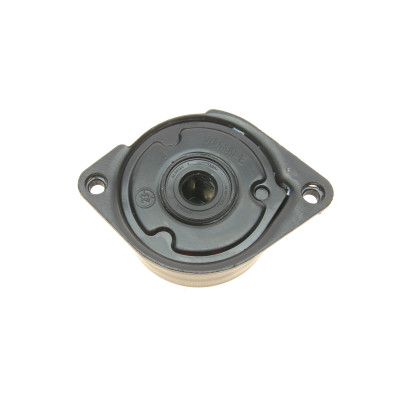 Натяжник ременя генератора BMW 3 (E46) 3.0D 99-, M57 D25/D30