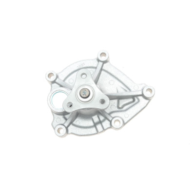 Помпа води BMW 1 (F20/21)/3 (F30/F80) 1.6 11- (N13)/Citroen Berlingo/Peugeot Partner 1.4/1.6 06-