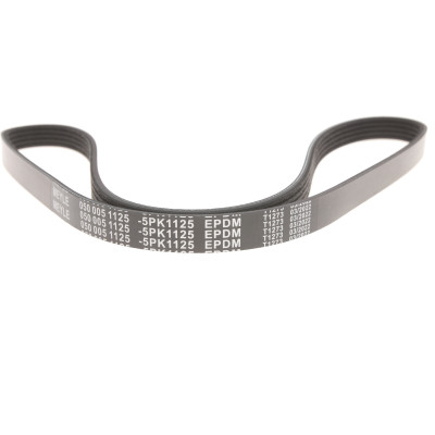 Ремінь генератора Renault Trafic II 1.9dCi 01- (5PK1125)