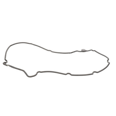 Прокладка кришки клапанів BMW 3 (E36)/5 (E39)/7 (E38) M51/Opel Omega B 2.5TD 94-03