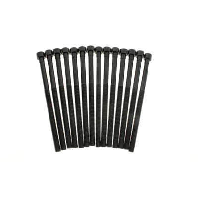 Комплект болтів гбц (14шт) BMW 3 (F30/F80)/5 (G30/F90)/X3 (G01/F97) 15- B46/B48