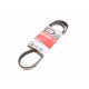 Ремінь генератора Citroen Jumper/Peugeot Boxer 3.0HDI 03- Ремінь генератора Citroen Jumper/Peugeot Boxer 3.0HDI 03-