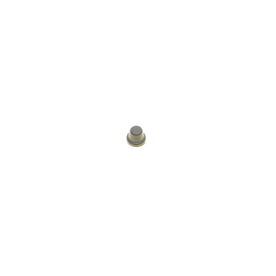 Ремкомплект супорта (переднього) Mini Mini (F54/F55/F56/F57) 13- (d=54mm) (Trw) (+поршень)