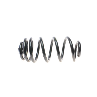 Пружина (задня) BMW X6 (E71/E72) 30d/35d/i/40d/50i xDrive 07-14 (SUV) (з пост.d)(без AdaptiveDrive)