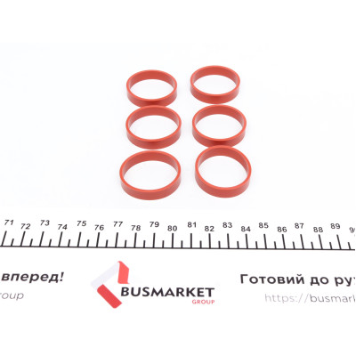 Прокладка колектора впускного BMW/Opel 2.5/3.0D M57 (к-кт)