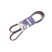 Ремінь генератора Ford Connect 1.8Di/TDCi 02-08 (6PK1425)