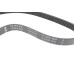 Ремінь генератора BMW 3 (E46)/5 (E39) 1.8D/2.0D 98-03 (5PK836) M47 D20