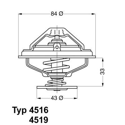 Термостат BMW 5 (E34)/7 (E32/E38) 3.0i-5.0i 87-01