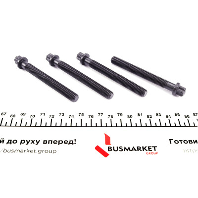 Шків колінвалу + шків генератора BMW 3 (E46)/5 (E39)/X5 (E53) 3.0D 98-05 (в комплекті з болтами)