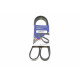 Ремінь генератора Fiat Palio 1.2 97-/Land Rover Freelander 1.8i 98-06 Ремінь генератора Fiat Palio 1.2 97-/Land Rover Freelander 1.8i 98-06