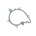 Прокладка помпи води BMW 5 (E34)/7 (E38)/8 (E31) M60 3.0/4.0i 92-01