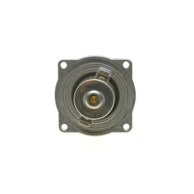 Термостат BMW 5 (E39)/7 (E38) 3.5/4.4i 96-04 (105°C) (M62)