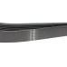Ремінь генератора BMW 5 (E39)/7 (E38) 3.5i/4.0i 96-03 (7PK1635)