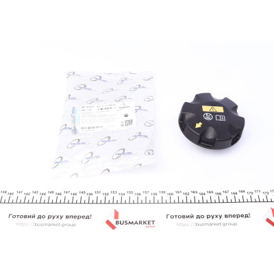 Кришка бачка розширювального BMW 1 E81/F20/2 F22/F87/3 E93/F30/4 F33/5 F10/6 F12 04-