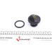 Кришка горловини маслозаливної Citroen C3/C4/Jumpy 95-