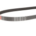 Ремінь генератора Citroen Jumper/Fiat Ducato/Peugeot Boxer 2.0/2.2HDi/JTD 02-