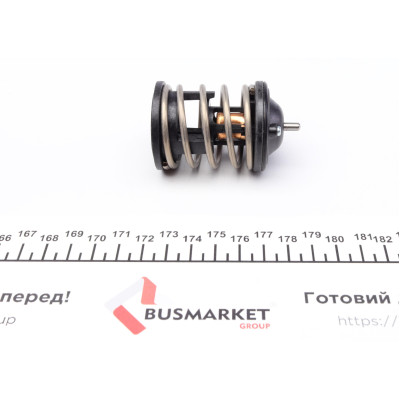 Термостат BMW 1 (F20)/X5 (E70)/5 (F10) 1.6-3.0D 04-