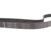 Ремінь генератора Citroen Jumper/Fiat Ducato/Peugeot Boxer 2.0/2.2HDi/JTD 02-