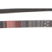 Ремінь генератора Citroen Jumper/Fiat Ducato 2.0/2.2HDi/JTD 02-