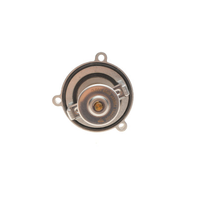 Термостат BMW X5 (E53/E70/F15/F85)/X6 (E71/E72) 03-19 N62/N63