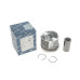 Поршень BMW 3 (E90-93)/5 (E60/E61)/X3 (E83) 2.0D 04-13 (84.0mm/STD)